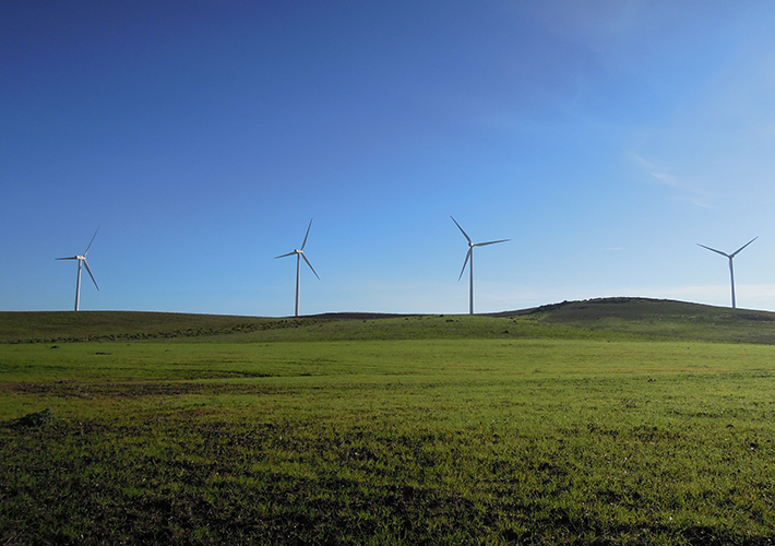 foto noticia Iberdrola permite elegir a sus clientes el proyecto renovable del que procede su consumo de energía verde.